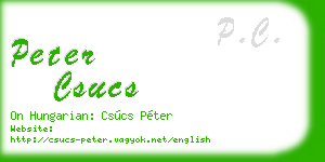 peter csucs business card